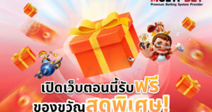 เปิดเว็บใหม่ ได้รับของแถมพิเศษ